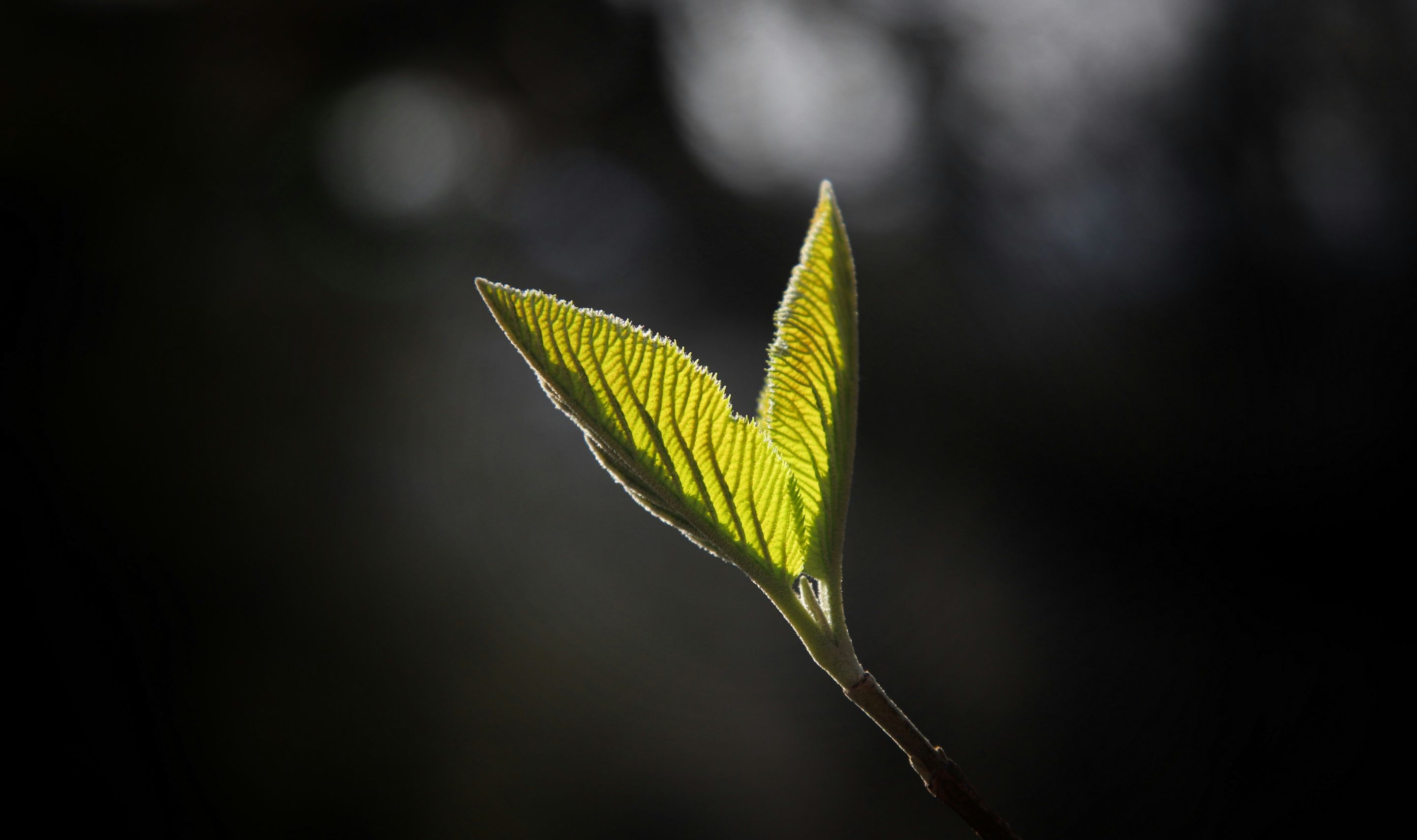 Frisch ins neue Jahr: So gebt Ihr der Zusammenarbeit mit Agenturen neuen Schwung